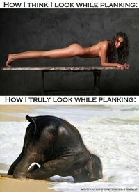 Do you look as good as me when planking?
